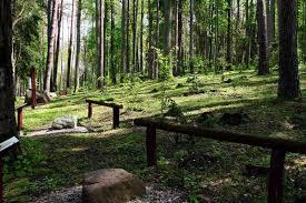 Leśne Arboretum Warmii i Mazur